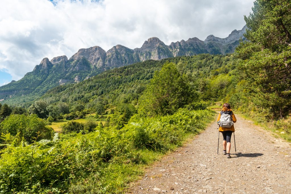 La flora y fauna del Pirineo Aragonés: descubre la biodiversidad de Benasque